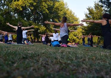 Women Performing Yoga on Green Grass Near Trees

