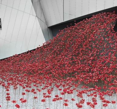 Poppies display at the Imperial War Museum North