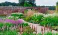 RHS Garden Bridgewater walled garden