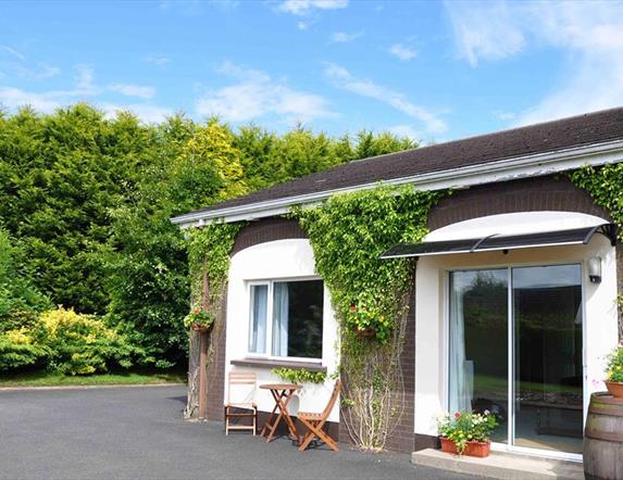 A large green hedge behind a bungalow with climbing vines up the side