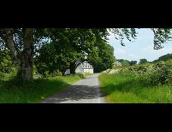 A hedge lined laneway to a white house