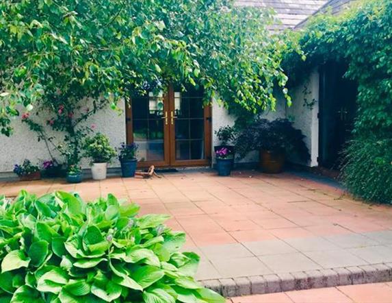 Courtyard with green hedges, vines and a tree in front of a house