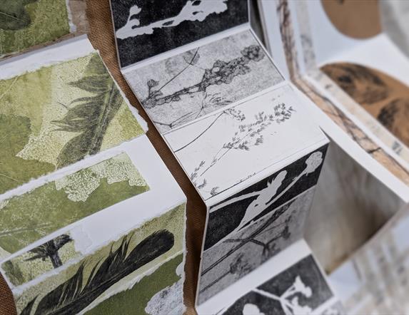 Nature Book Workshop (in English)  with Ruth Osborne