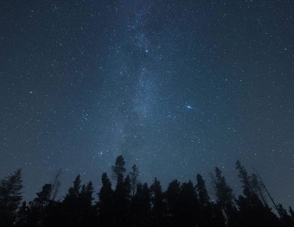 Milky Way above the trees at Davagh Forest