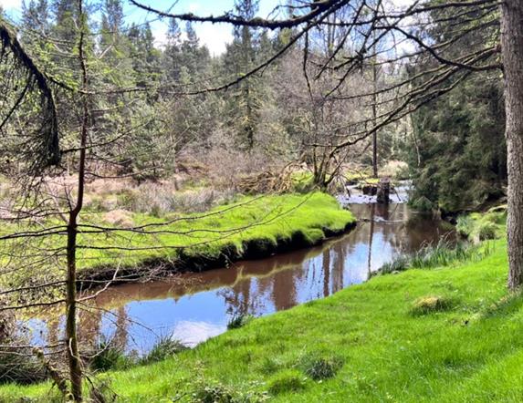 River running through landscape with grass and trees
