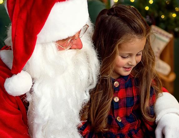 Image of Santa with a Christmas tree and bag of presents