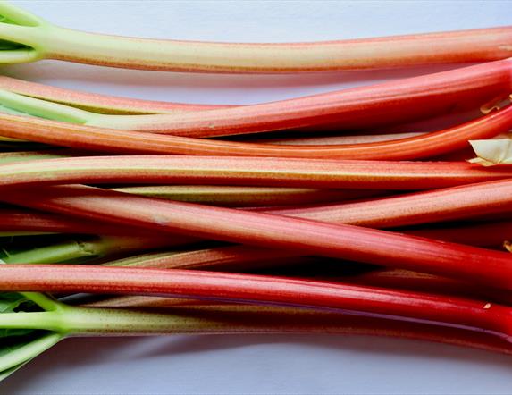 Image of rhubarb