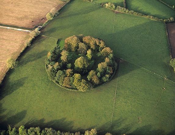 Arial View Of Fort