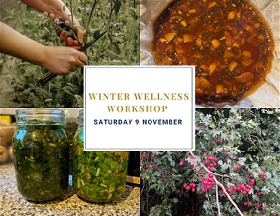 Winter Wellness Workshop