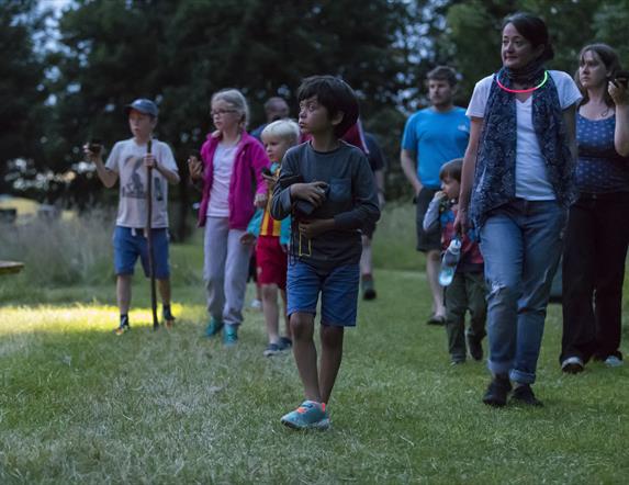 Springhill Bat Night