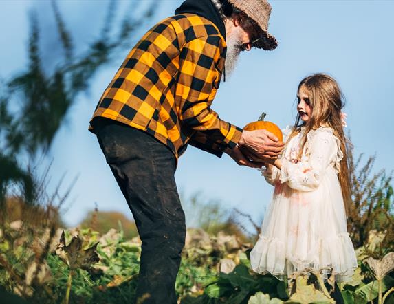 Pumpkin picking