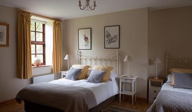 Spacious Triple bedroom with grey and yellow colour scheme