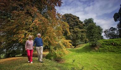 Image of a couple looking over to the fort 