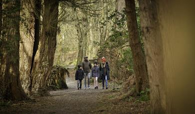 A family walking through the forest.