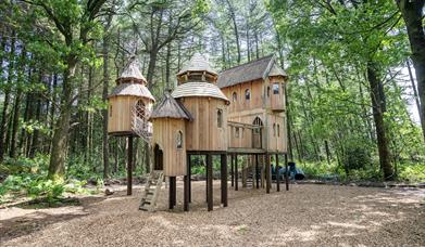 A large wooden structure that looks like a castle but doubles up as a childrens play structure in the middle of the forest