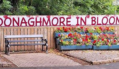 Donaghmore Flowers