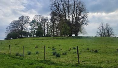 Echoes of the Ancients: A Tour of Clogher Hillfort EHOD 2025