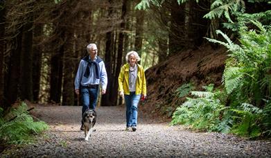 A couple walking through a forest path with their dog