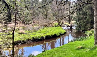 River running through landscape with grass and trees
