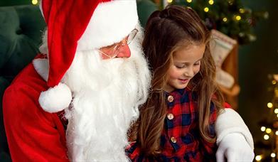 Image of Santa with a Christmas tree and bag of presents