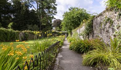 An image of a garden path at Springhill House surrounded by greenery