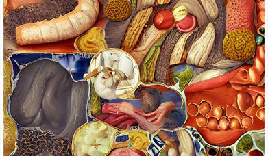 Image of colourful items