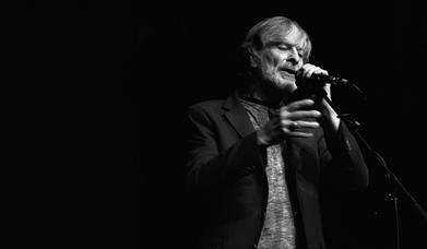 Image showing Sean Keane in concert 