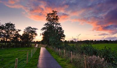 Lough Beg nature reserve