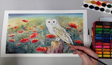 Join us at Hill of The O'Neill & Ranfurly House for a one-day Watercolour Workshop (Saturday 4 October) with talented local artist Andrea Hayes.