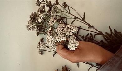 Image showing dried herbs used for producing immune boosting teas. 