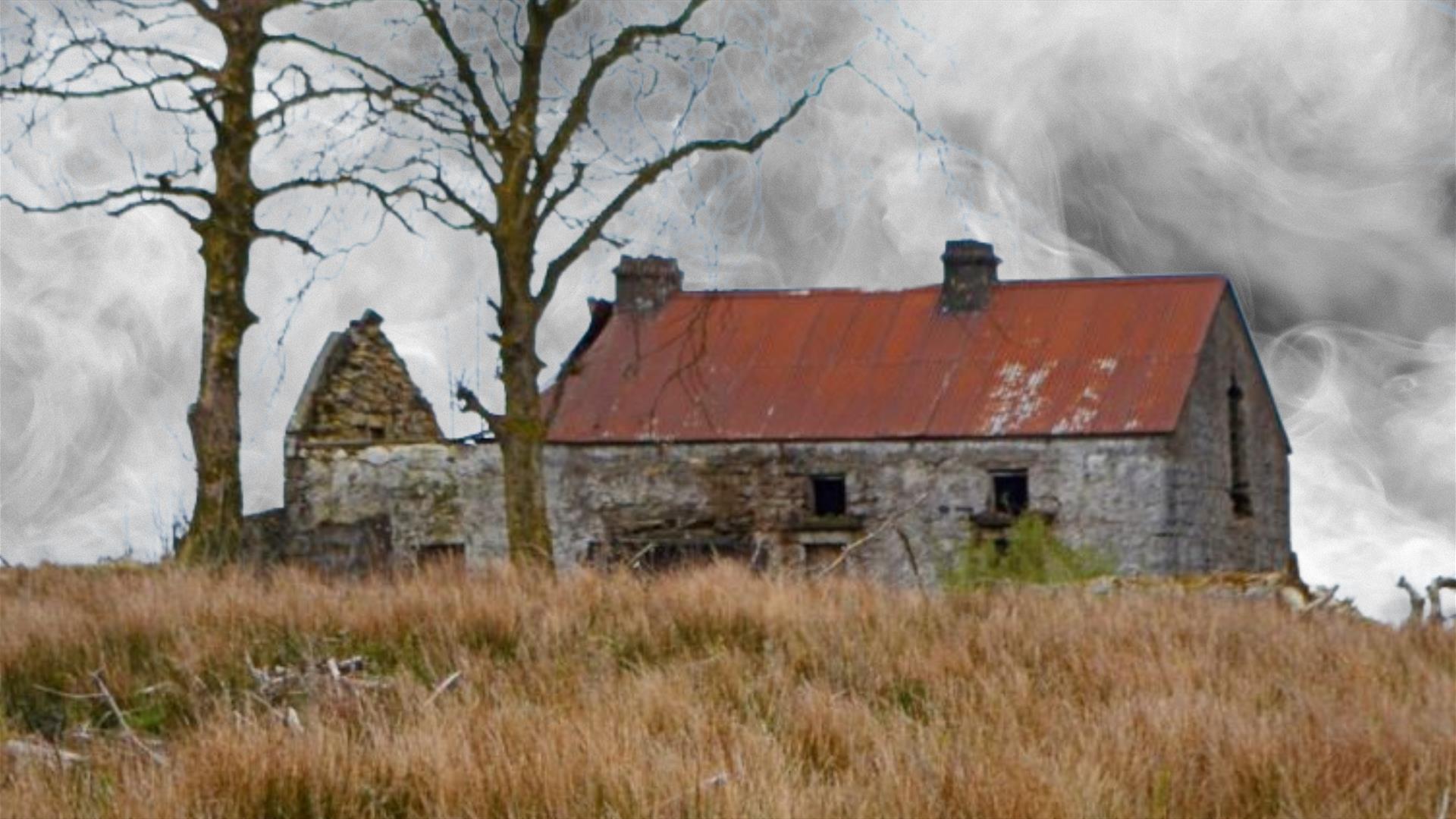 Distorted image of an abandoned cottage next to two leafless trees, set among bog land with a grey sky overhead.