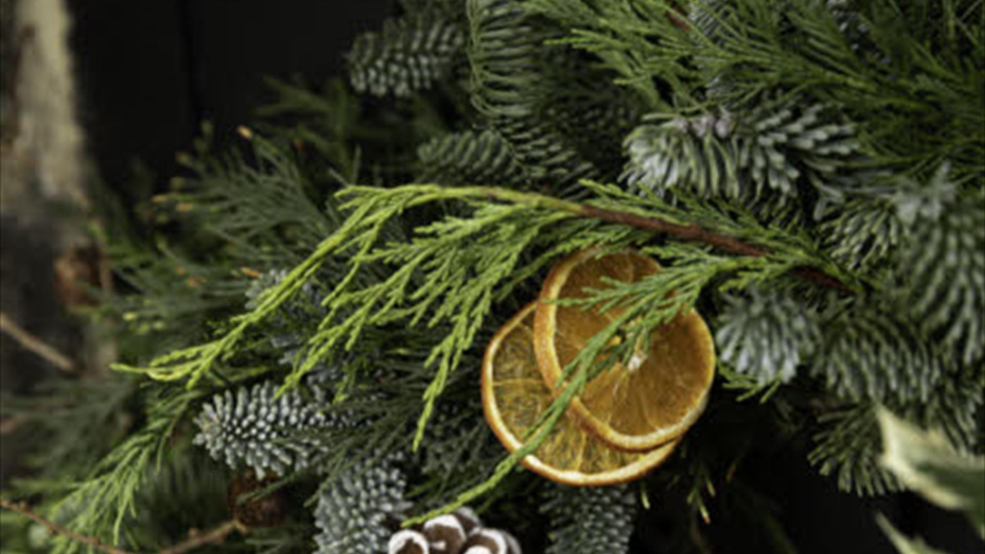 Christmas Wreath Workshop at Springhill