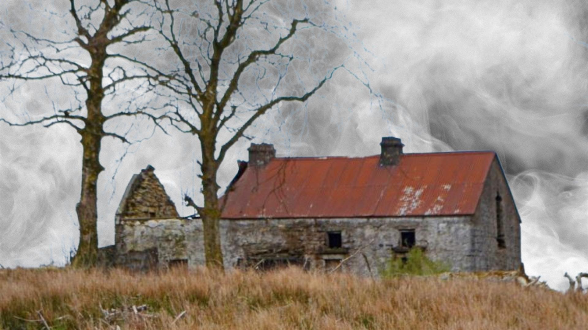 Distorted image of an abandoned cottage next to two leafless trees, set among bog land with a grey sky overhead.