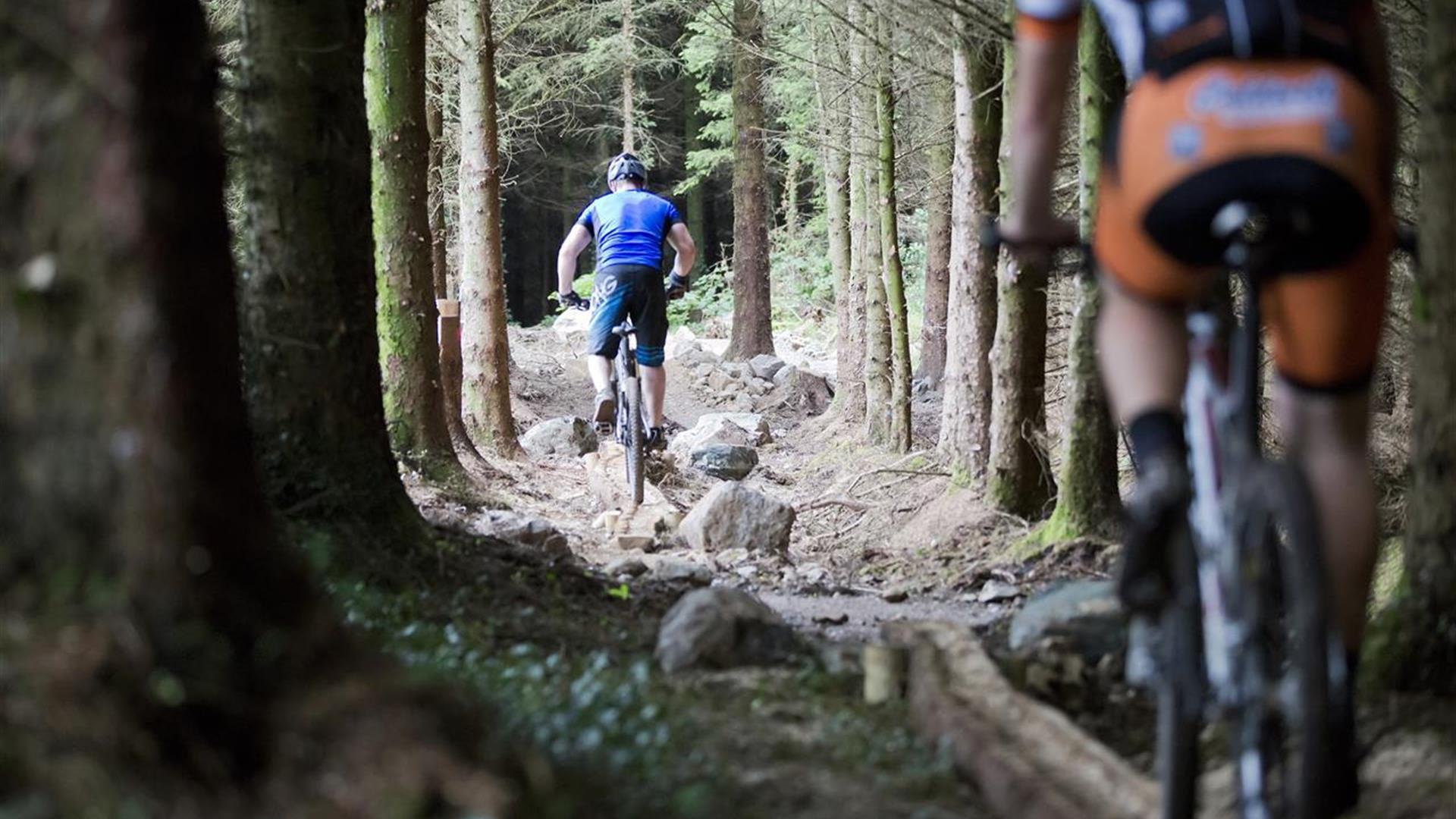 Blessingbourne Mountain Bike Trails and Pump Track