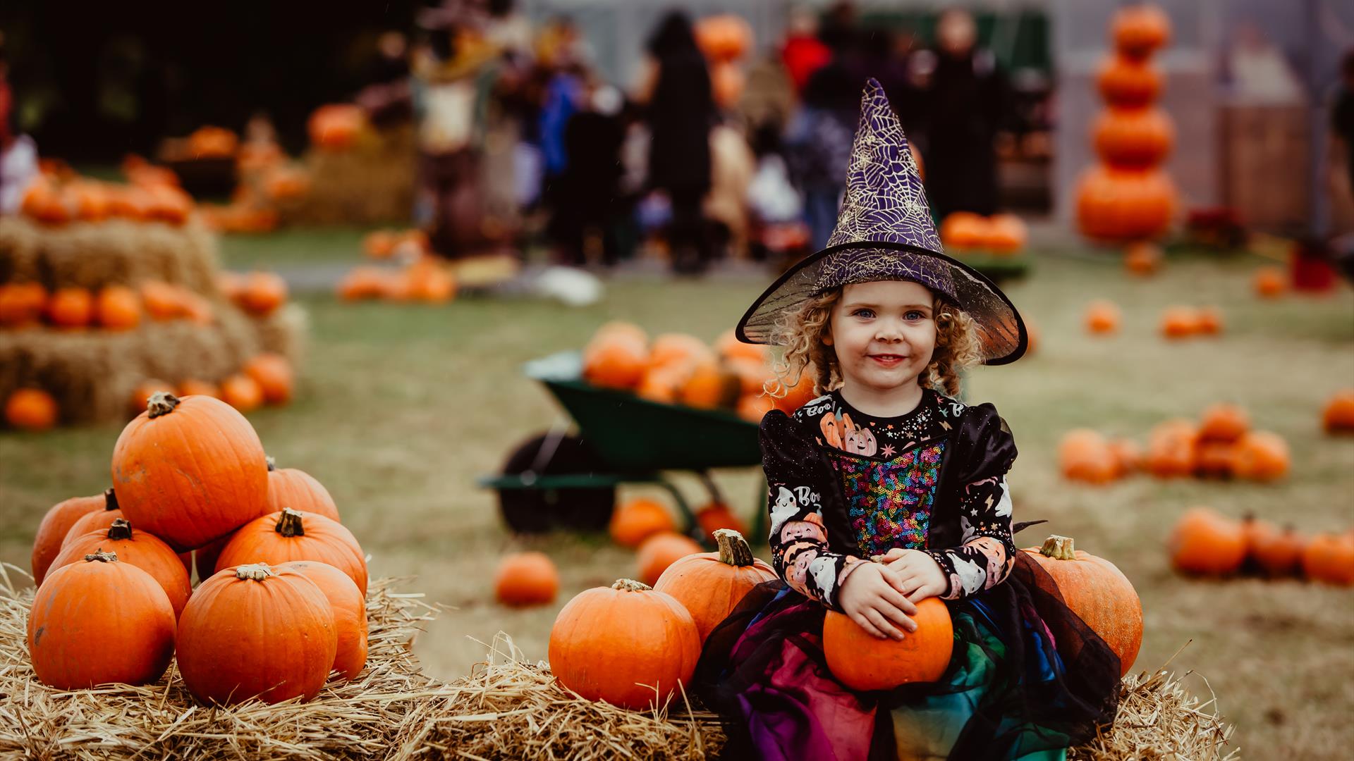 Pumpkin Patch Ark Farm