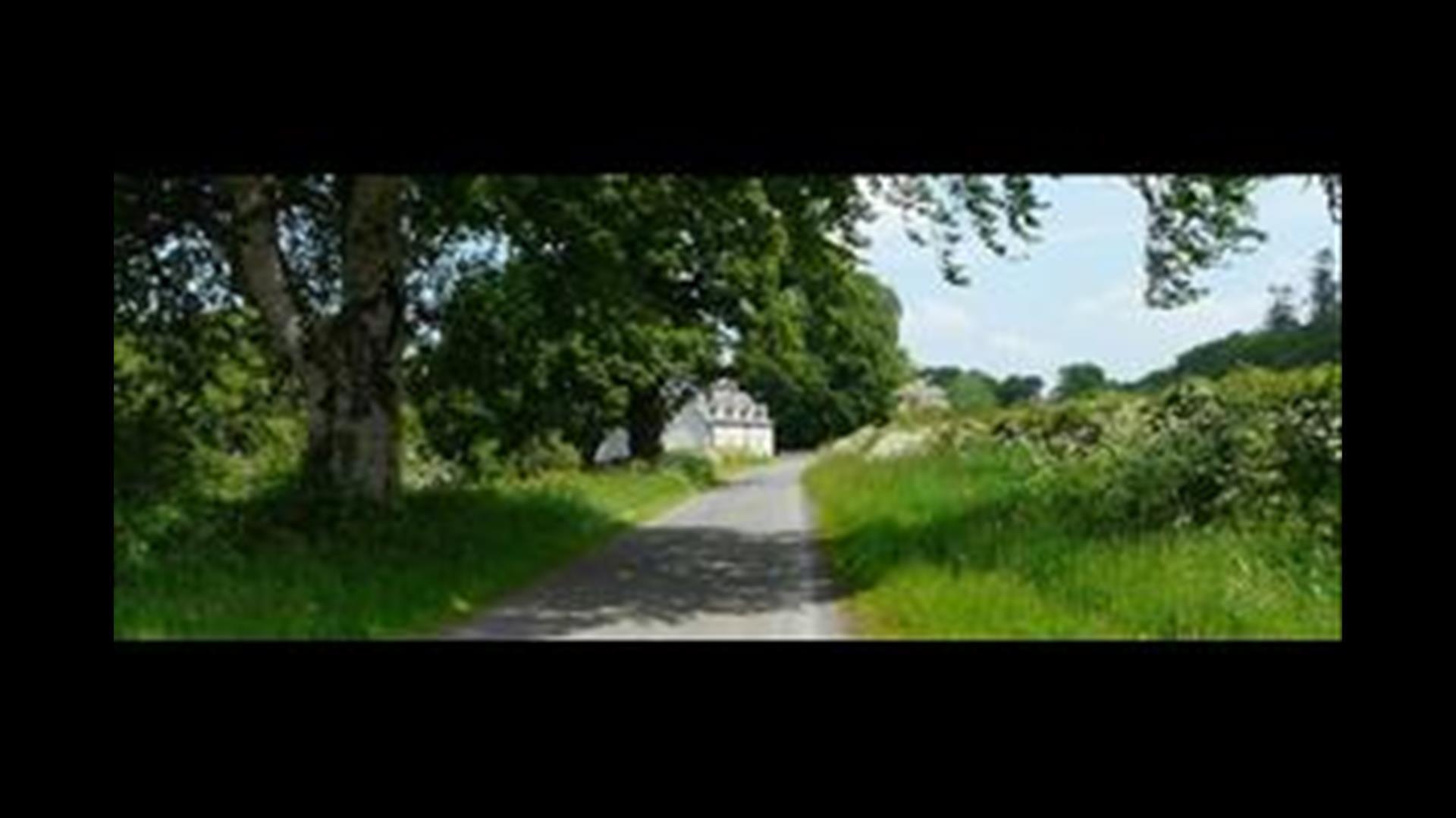 A hedge lined laneway to a white house