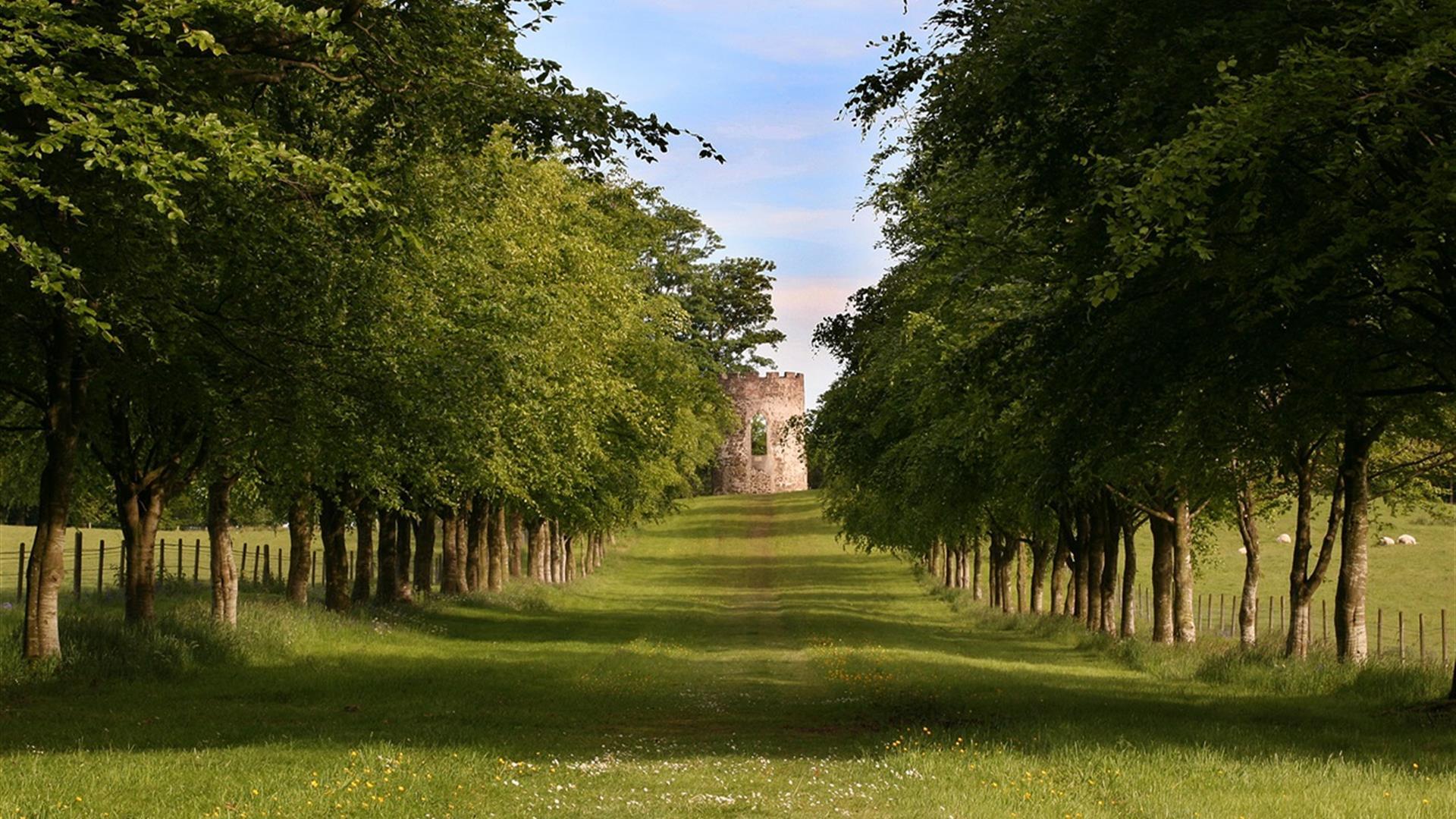 Springhill House - Woodland Walk