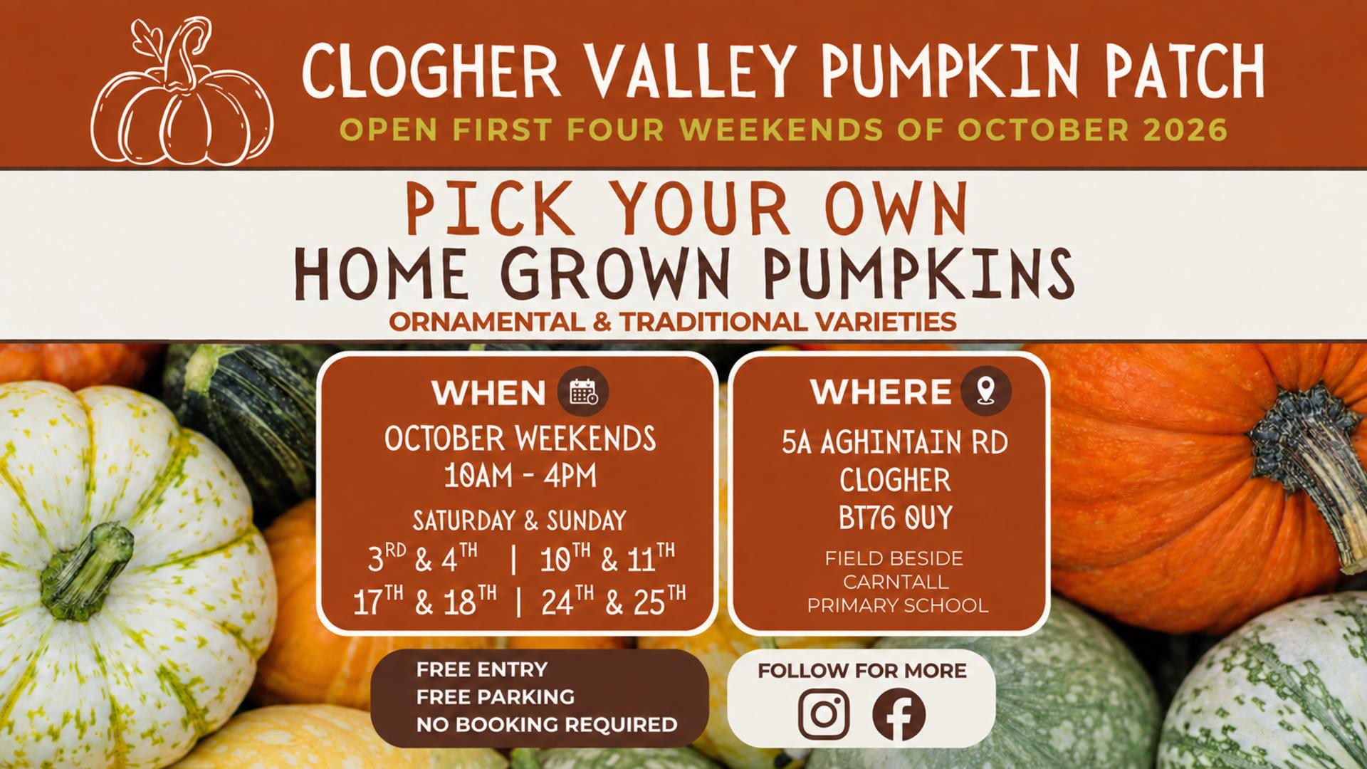 Clogher Valley Pumpkin Patch pick your own home grown pumpkins