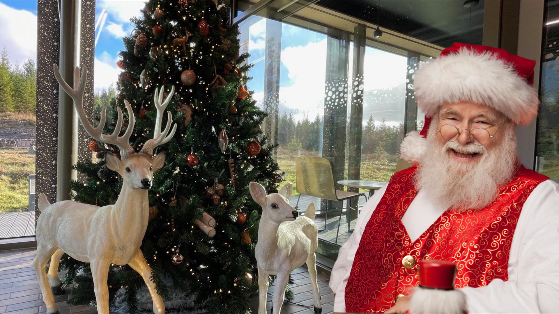 Image of Santa in front of a Christmas tree and reindeer figures