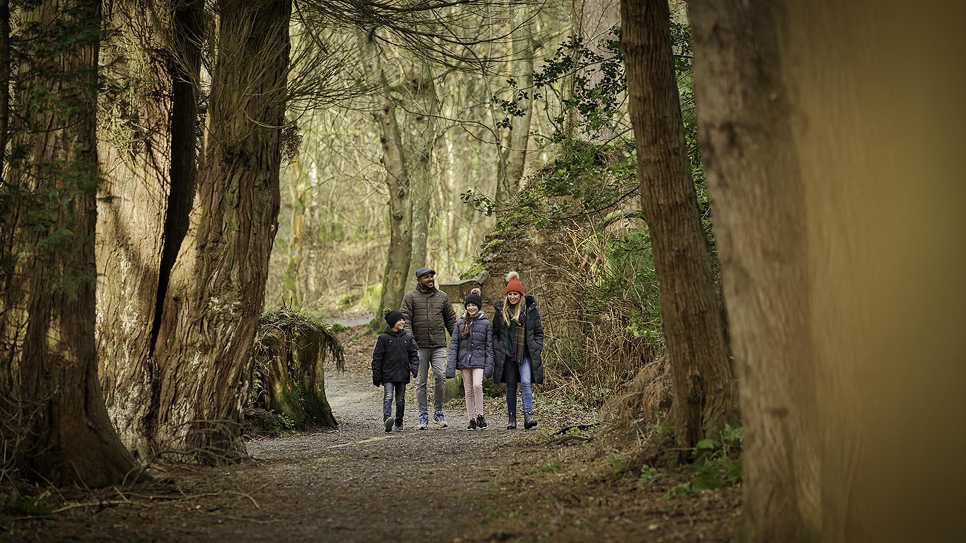 A family walking through the forest.