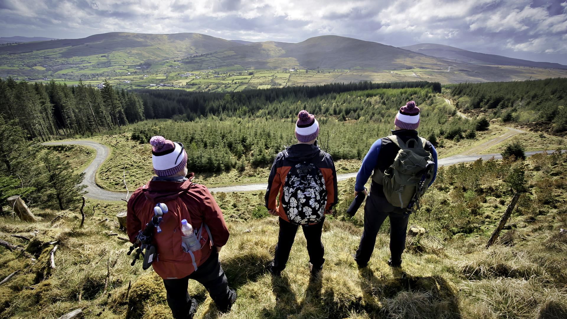 Three hikers standing on a grass hill overlooking mountains and trees