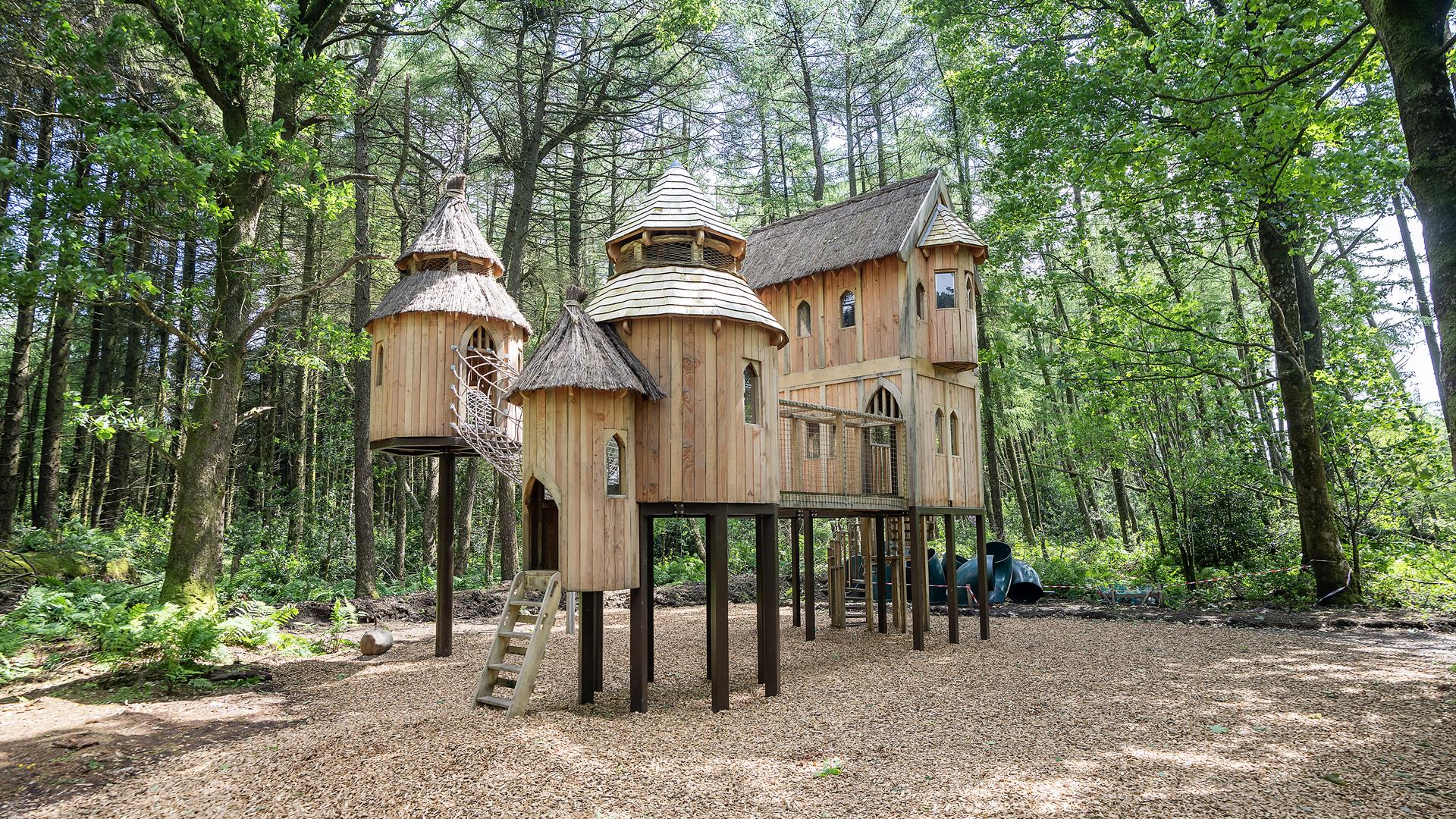 A large wooden structure that looks like a castle but doubles up as a childrens play structure in the middle of the forest
