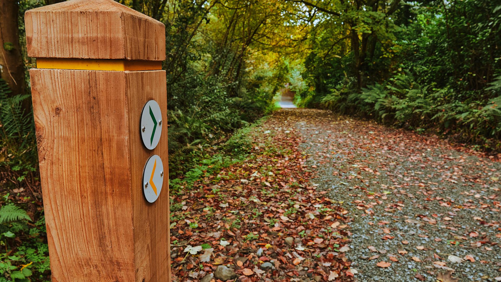 A wooden post with arrows directing walkers