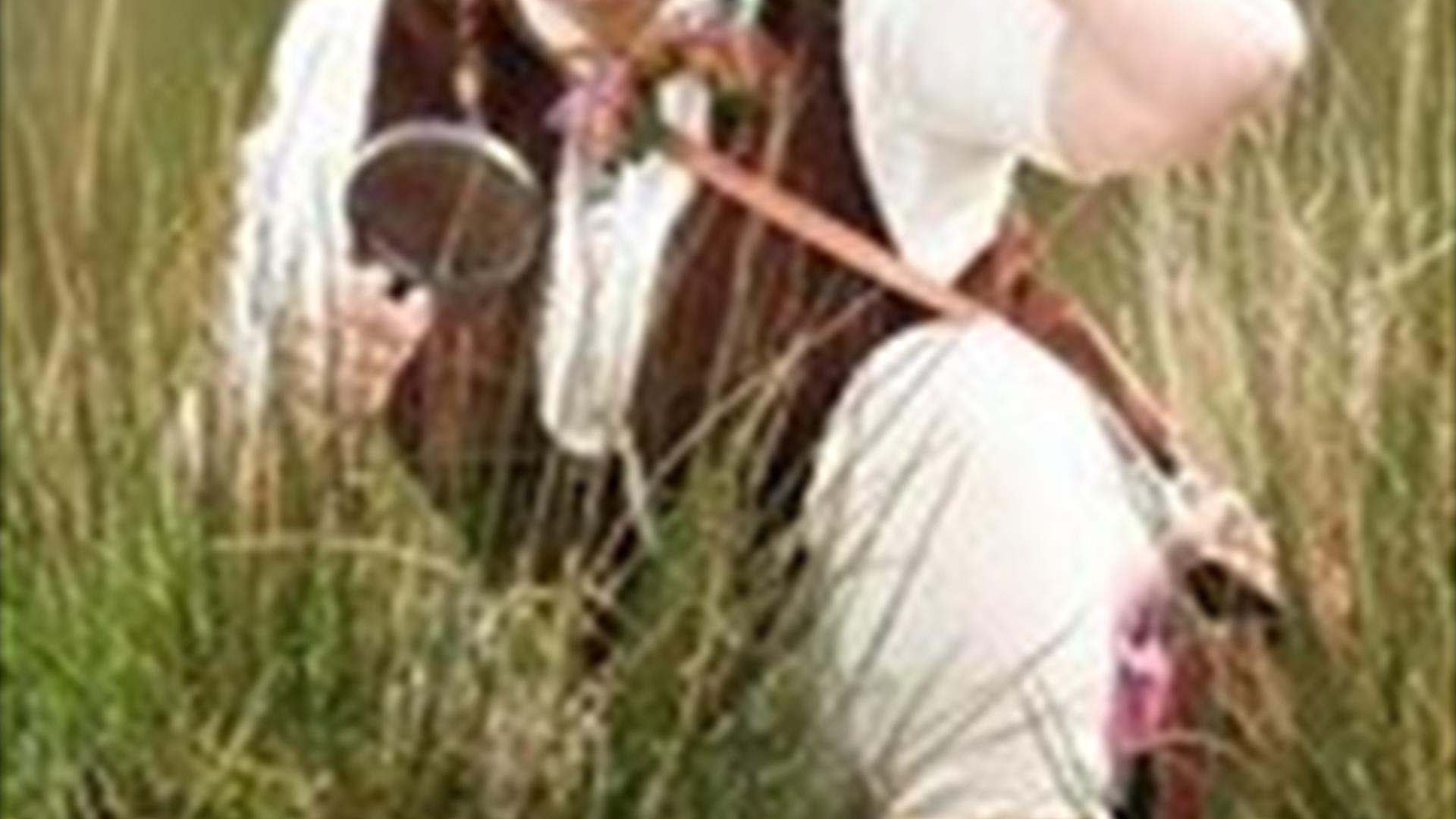 Eithne the Adventurer