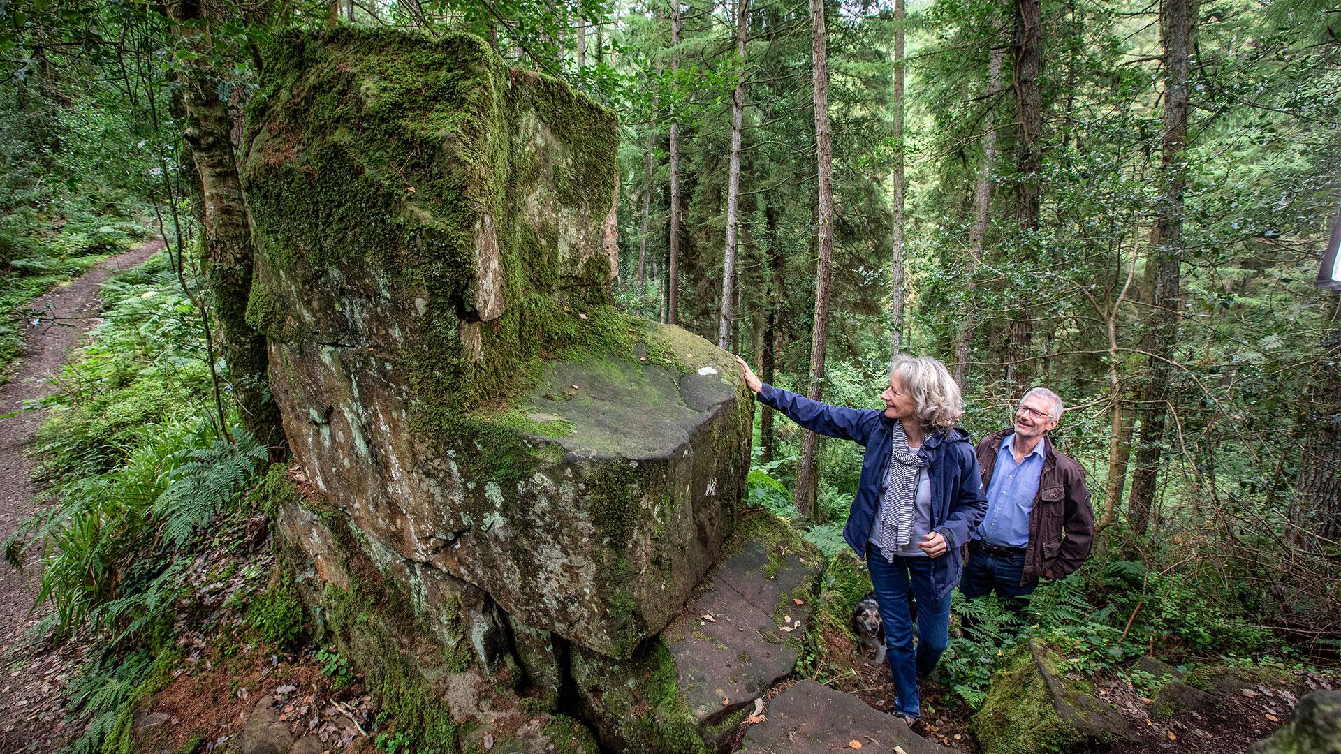 A couple standing in the forest at St.Patricks Chair