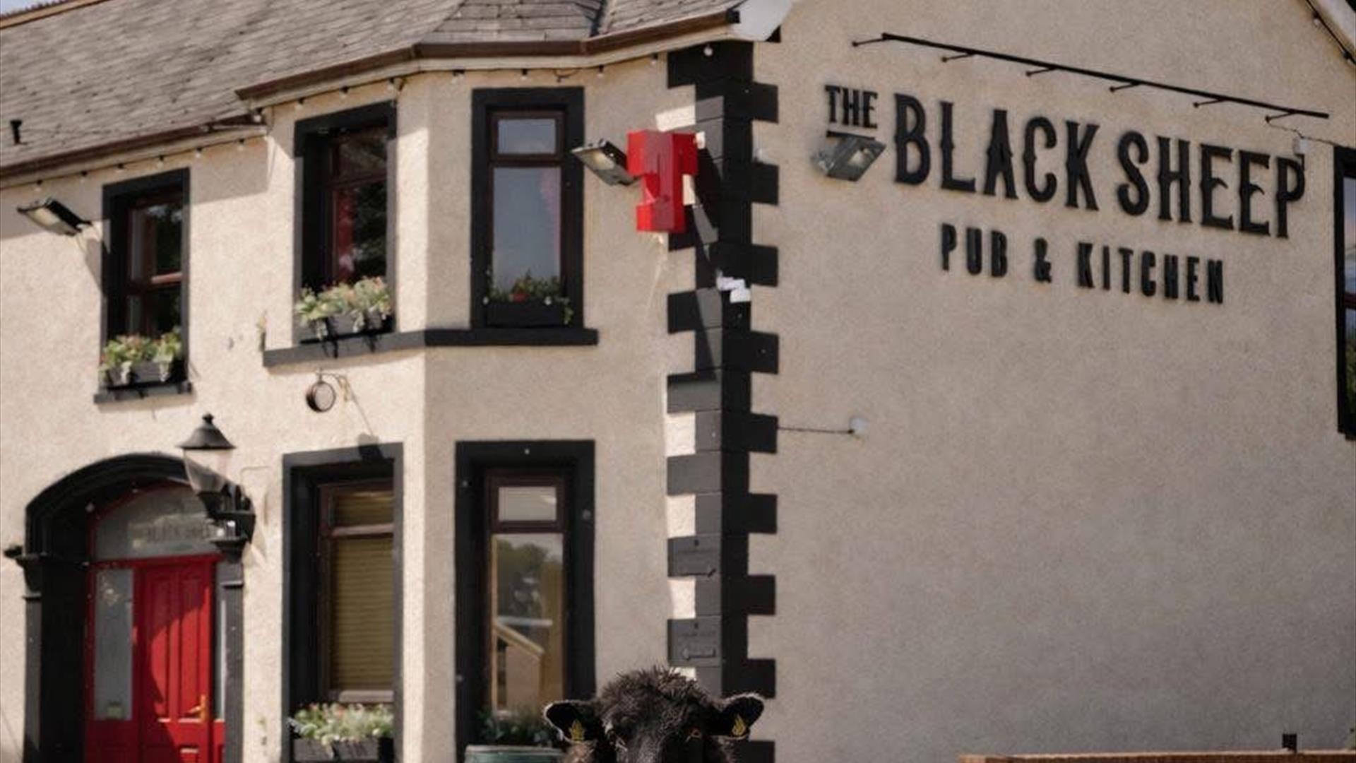 The Black Sheep Pub and Kitchen with a black sheep standing in front and beside a pint of guiness.