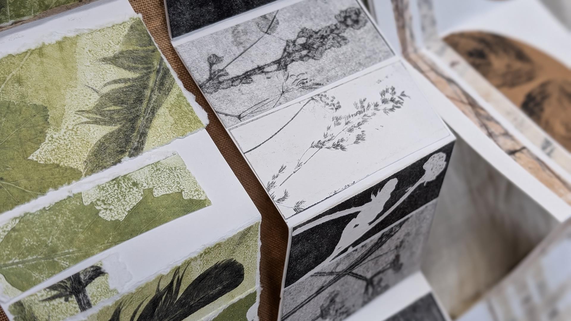 Nature Book Workshop (in English)  with Ruth Osborne