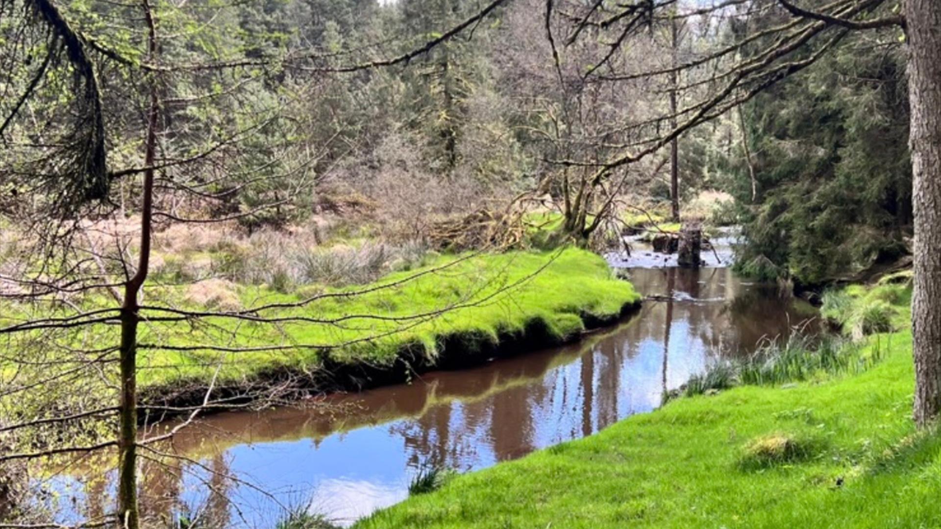 River running through landscape with grass and trees