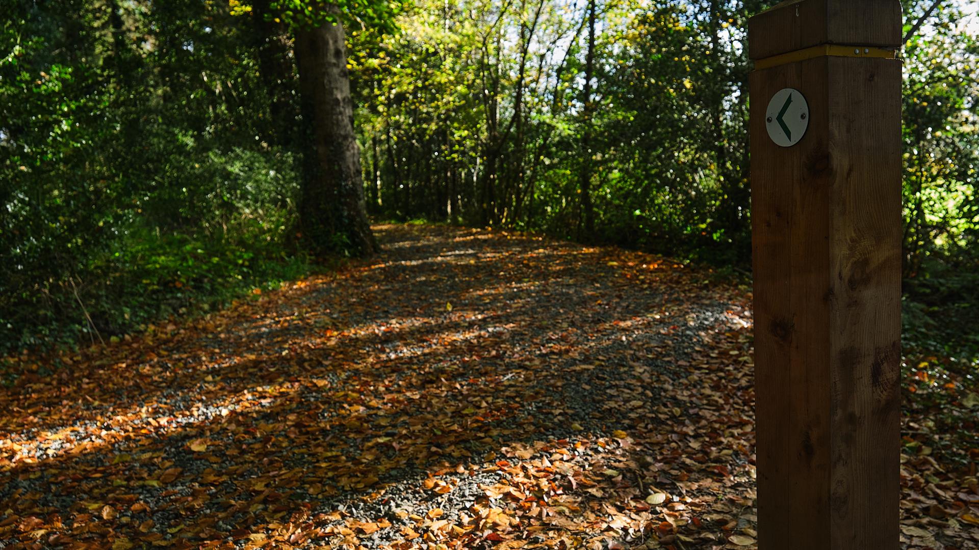 Derrynoyd River Trail