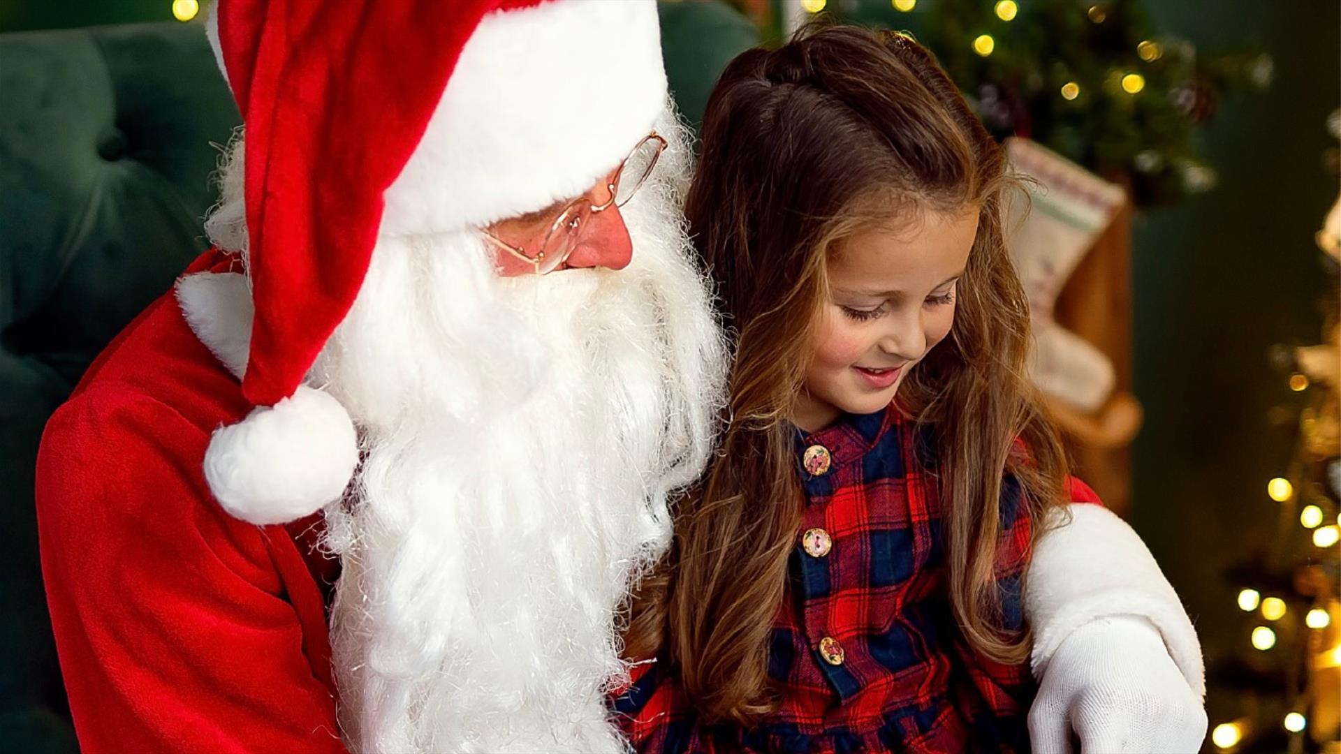 Image of Santa with a Christmas tree and bag of presents